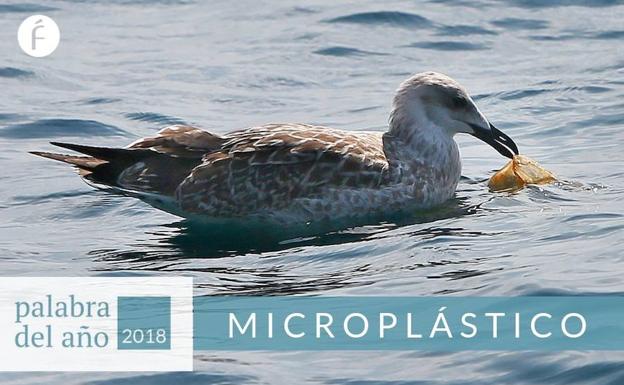 Microplástico (hay que decirlo más)