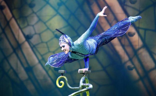 Insectos rebosantes de adrenalina