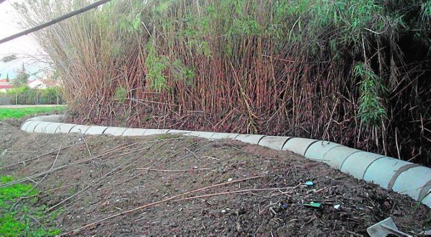 El agua de la acequia de La Arboleja vuelve a correr a cielo abierto
