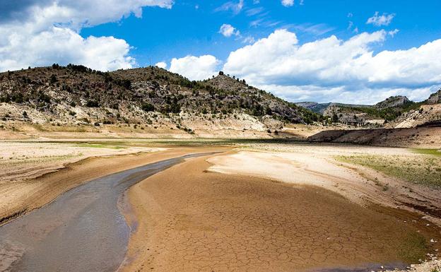 Recopilan información para elaborar el Atlas de los mamíferos de la Cuenca del Segura