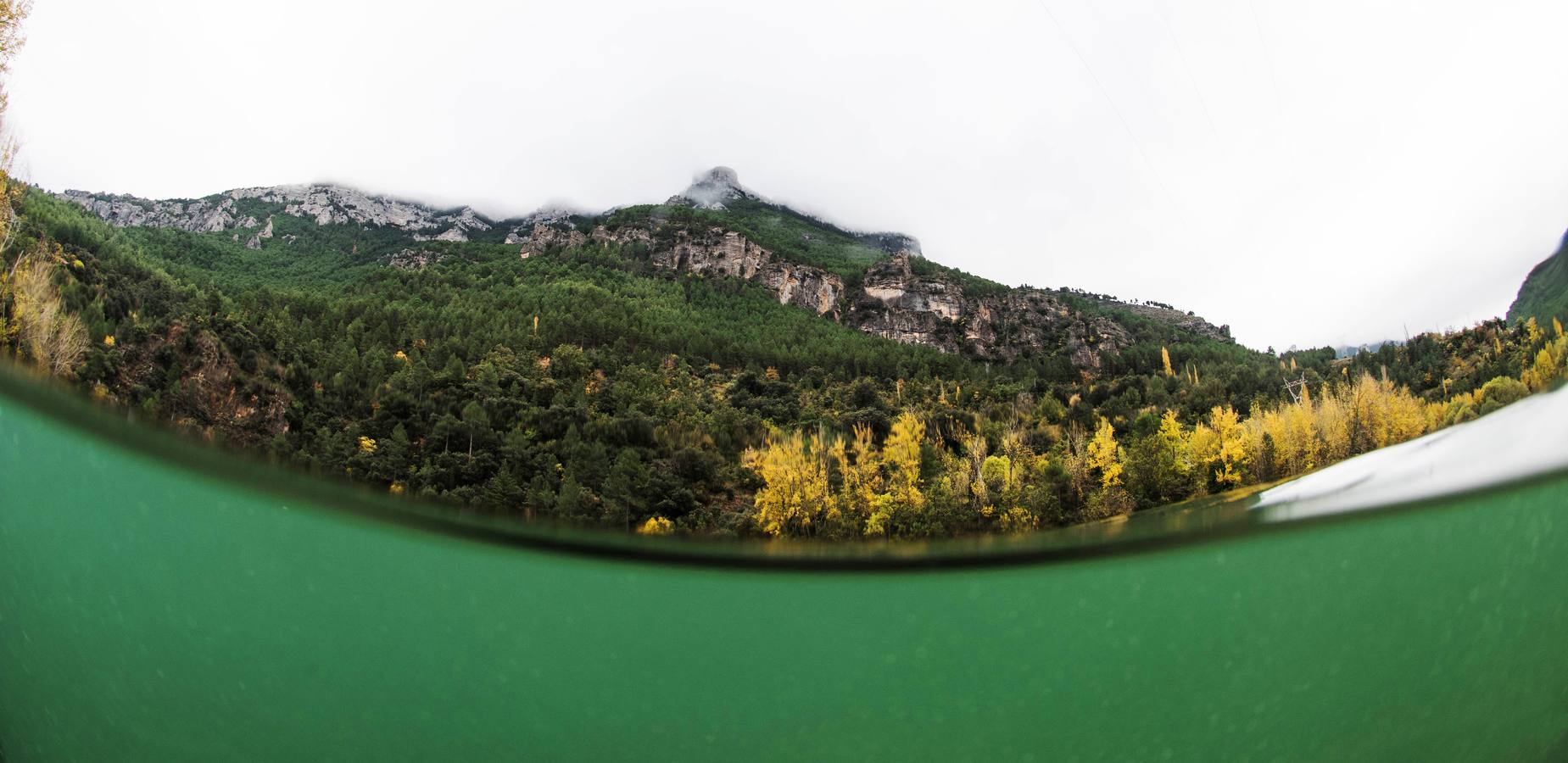 Versión Original del Segura (V.O.S.)