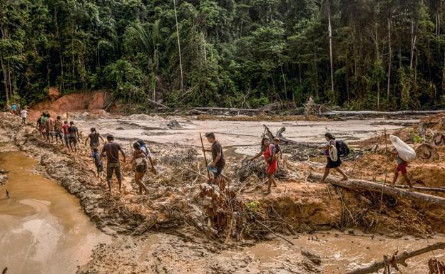 La Amazonia tiembla con Bolsonaro