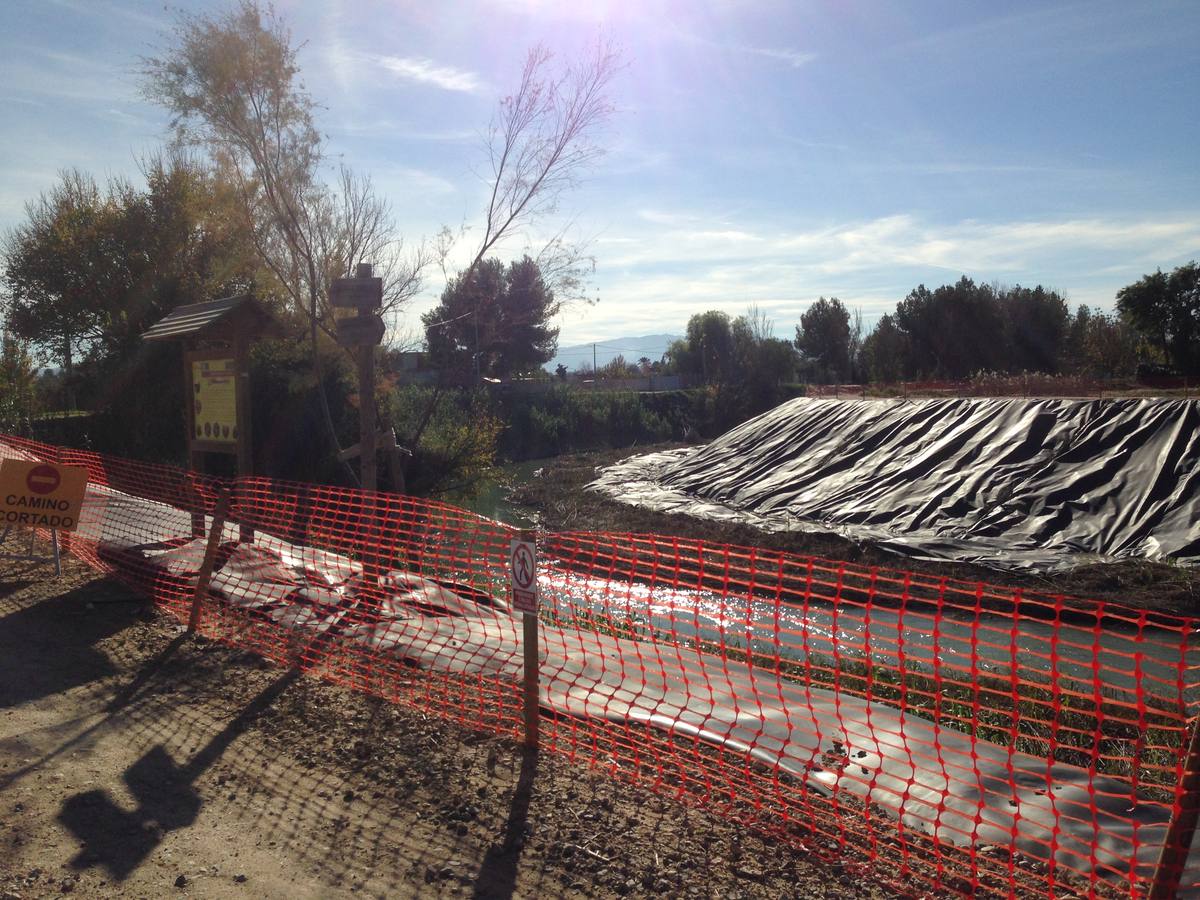 La regeneración ambiental del Segura