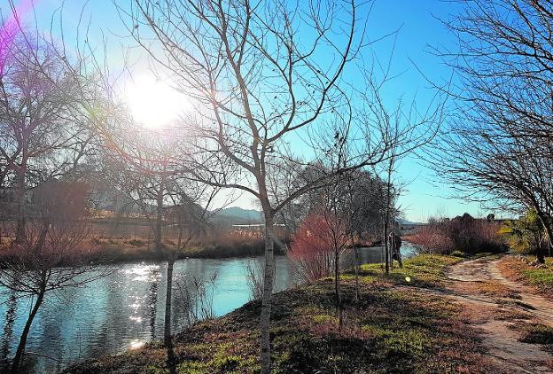 El Segura cambia la piel