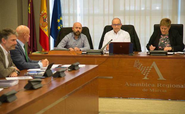 Un experto de La Arrixaca pide en la Asamblea «normalizar» los controles del plomo en sangre entre los vecinos de la Sierra Minera