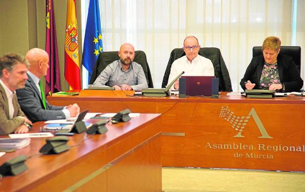 Dos expertos sostienen que la contaminación de la Sierra Minera sí afecta a la salud