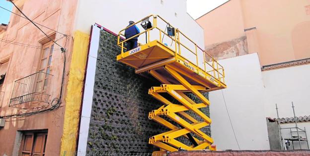 Brotes verdes en el primer jardín vertical de la ciudad