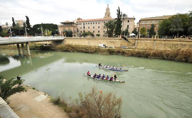 Las piraguas toman el Segura