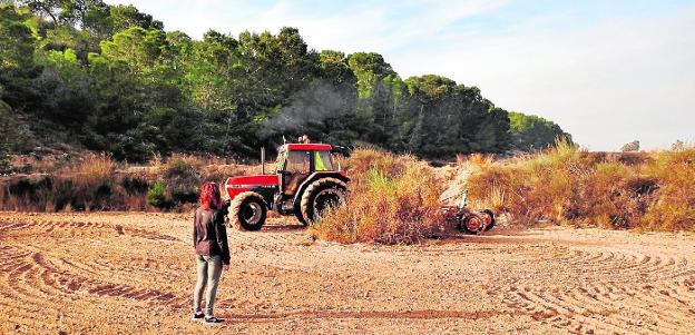 Ayuntamiento de Murcia y Acude unen fuerzas para frenar el desierto