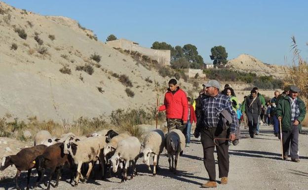 Abarán defiende sus vías pecuarias y la ganadería extensiva en su VI Marcha Ganadera por La Pila