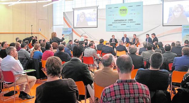 Productores y exportadores están listos para un 'Brexit' duro, aunque confían en un pacto