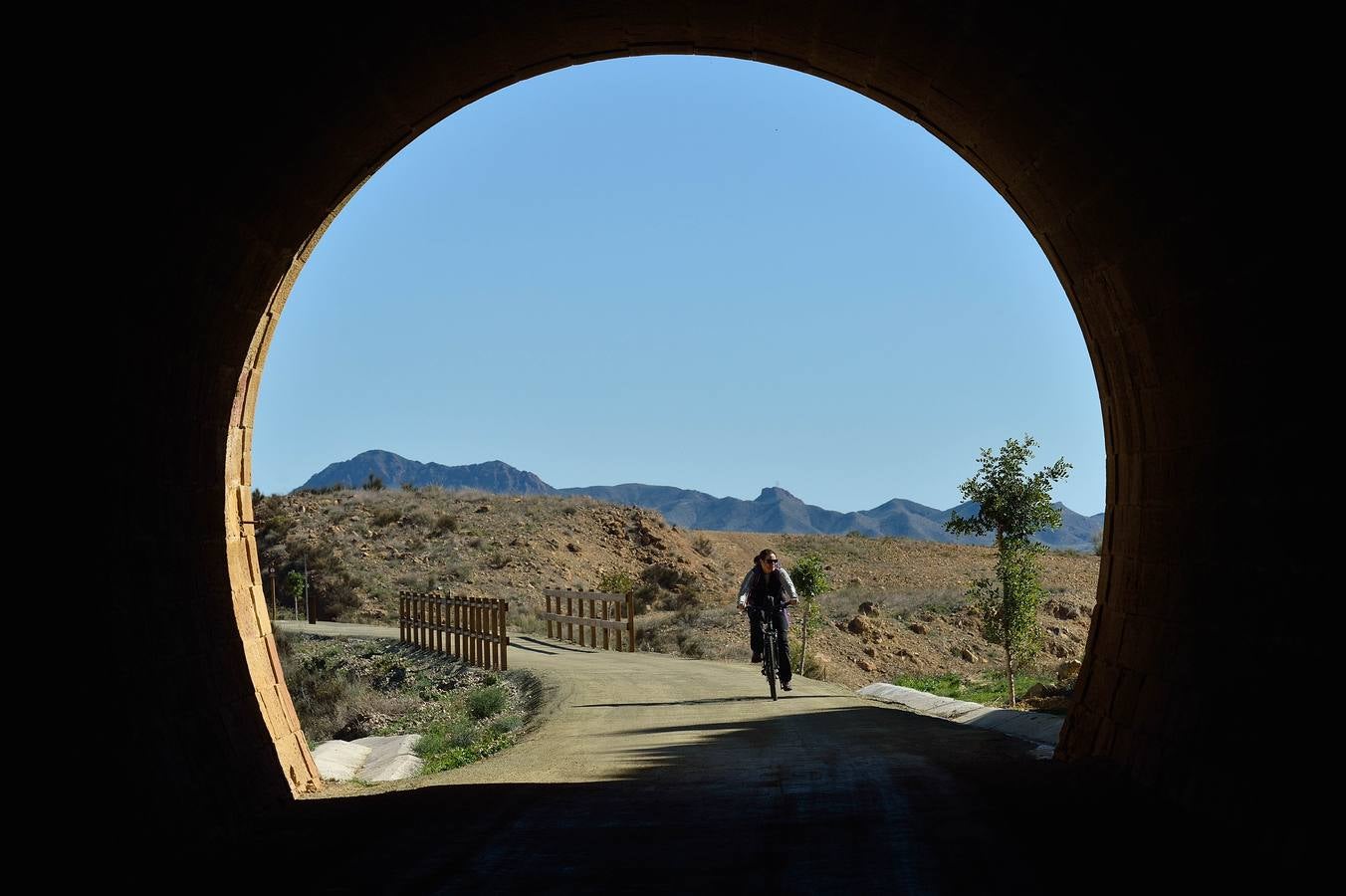 La vía de los metales