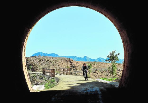 La vía de los metales