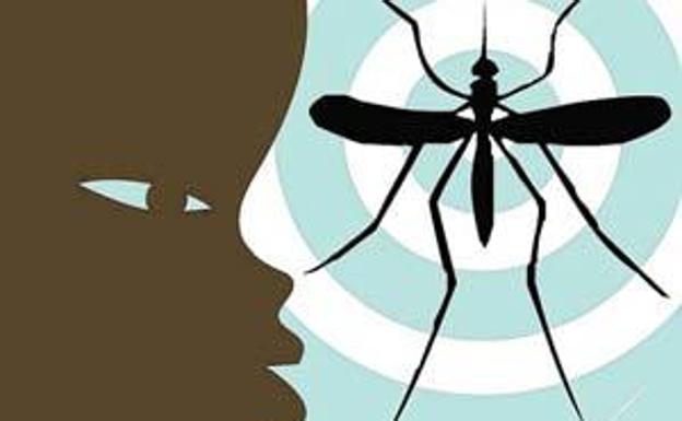 Nueve cosas que debería saber sobre el virus zika