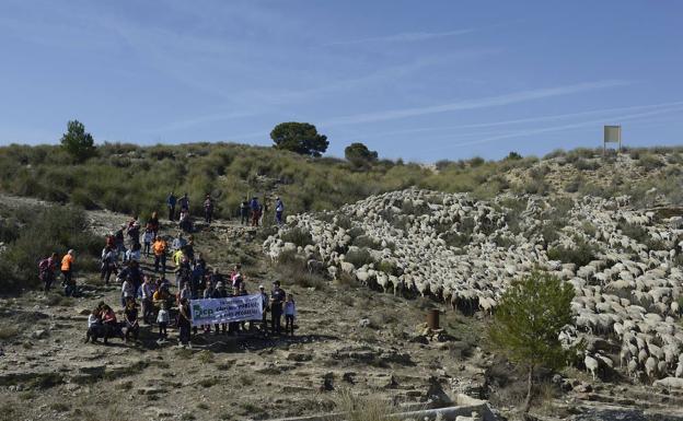 Por el Cordel de las Pocicas