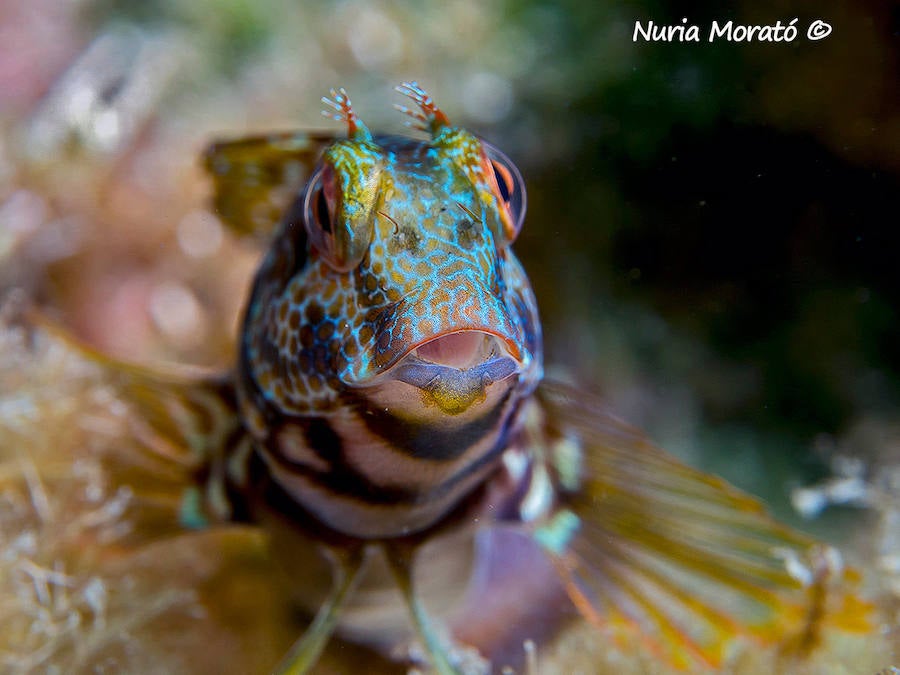 Los tesoros de Cabo Cope