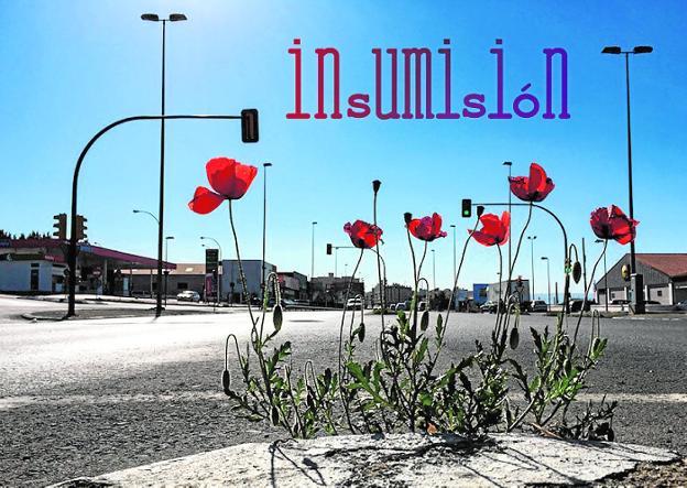 OTEGI, QUÉ POCA VERGÜENZA