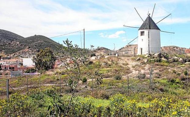 Los molinos de viento renacen