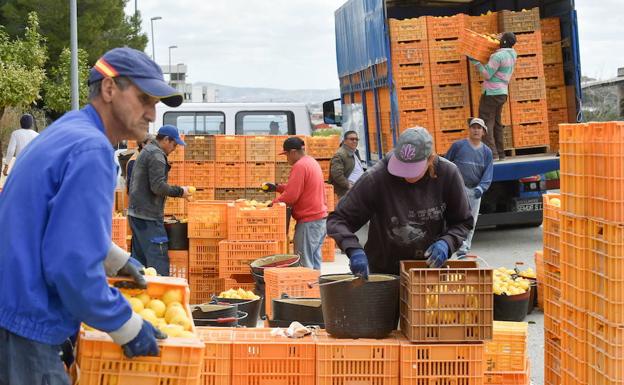 La exportación de frutas y hortalizas alcanza el récord de 2.500 millones de euros