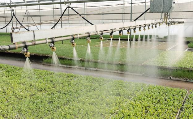 La tecnología agrícola reúne a 200 empresas en la Región