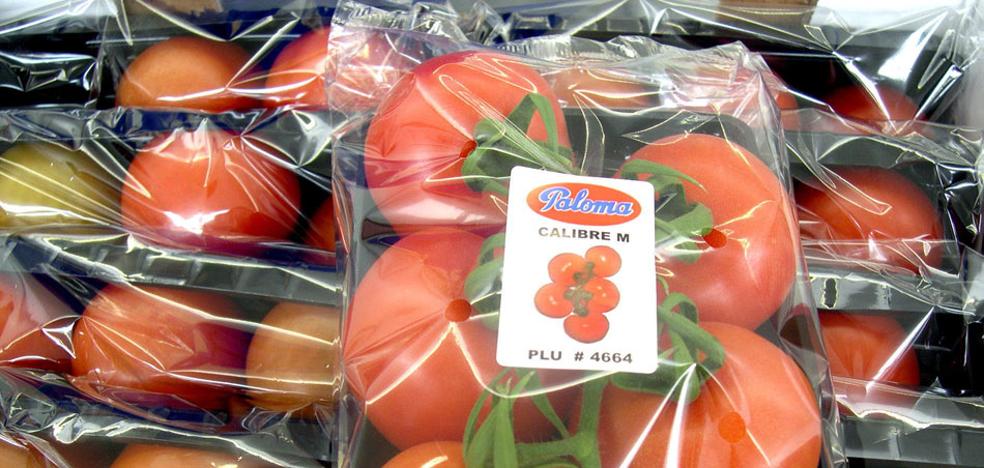 Un 'Brexit' con barreras costaría al sector hortofrutícola 95 millones al año