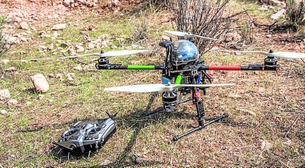 Usan drones por primera vez para tratar de controlar la procesionaria