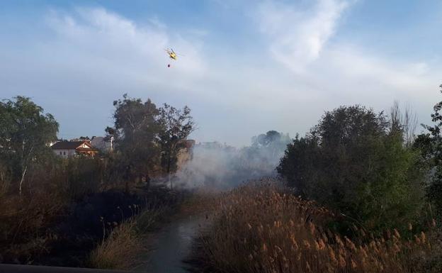 Extinguen un incendio forestal declarado en Archena