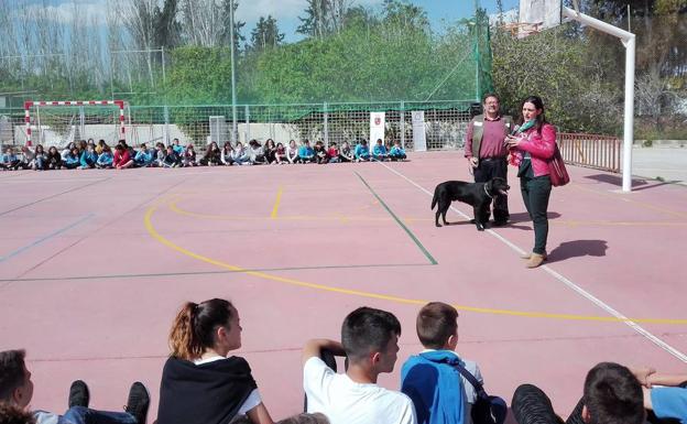 Demostraciones caninas para concienciar a los más jóvenes sobre la violencia de género