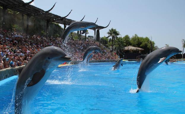 Mundomar reabre sus puertas el próximo 5 de abril