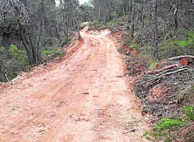 El Grupo Fuertes ejecuta y costea el camino para llegar a La Almoloya