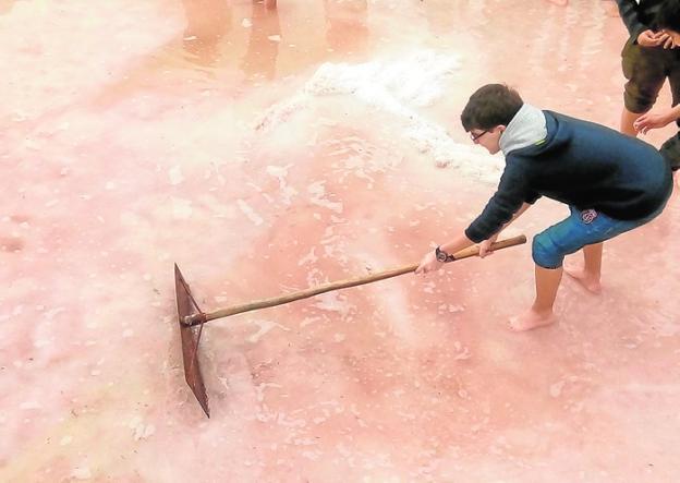 Los estudiantes cosechan su 'salario' en Rambla Salada