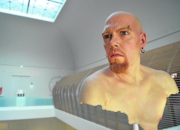 El piercing entra en los museos