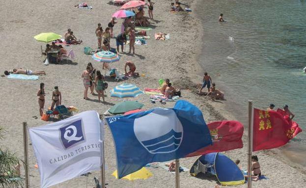 El litoral de la Región mantiene sus 31 banderas azules