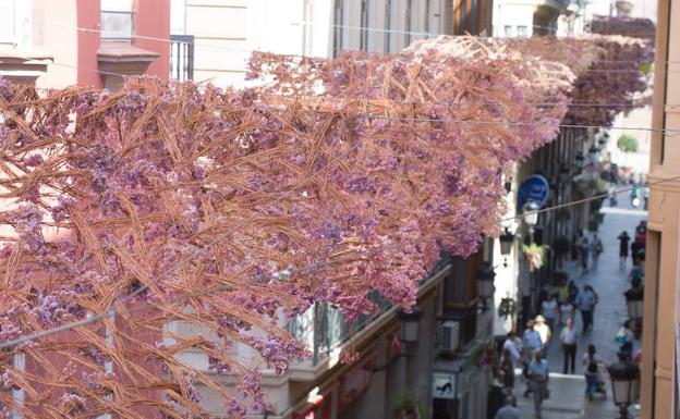 Así es el nuevo sombraje de Trapería