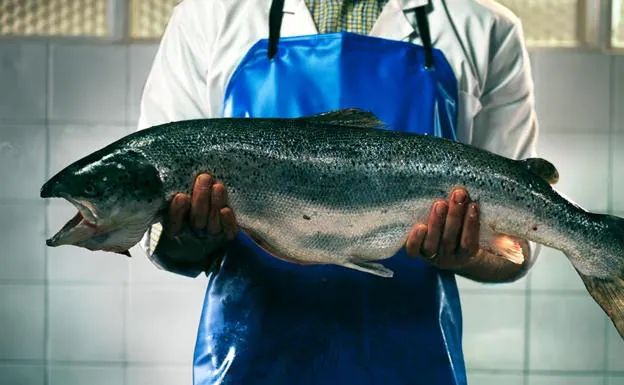 Los Pescados Más Caros de España: Delicias del Mar a tu Mesa