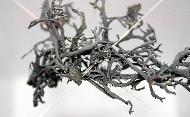 Diario de escritura (VII)