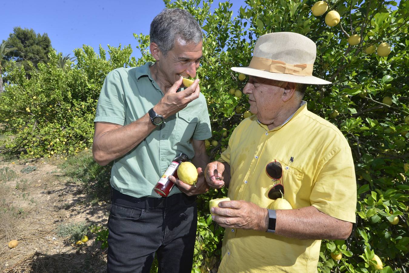 Coca-Cola elige Murcia como proveedor de limones para su marca Honest