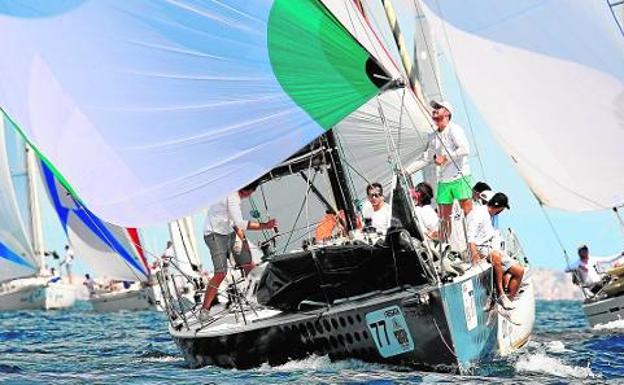 'Ohana', 'Enewtec', 'Alabana 2' y 'Pilolo VII' no encuentran rival