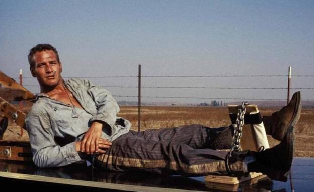 'La leyenda del indomable', en la Filmoteca Regional