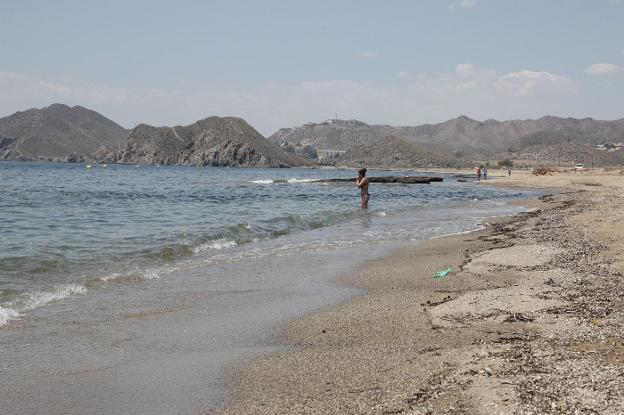 Greenpeace sitúa La Cola en su 'ranking' de playas españolas amenazadas por el ladrillo