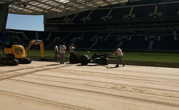 Primafrio transporta el nuevo césped para el FC Porto