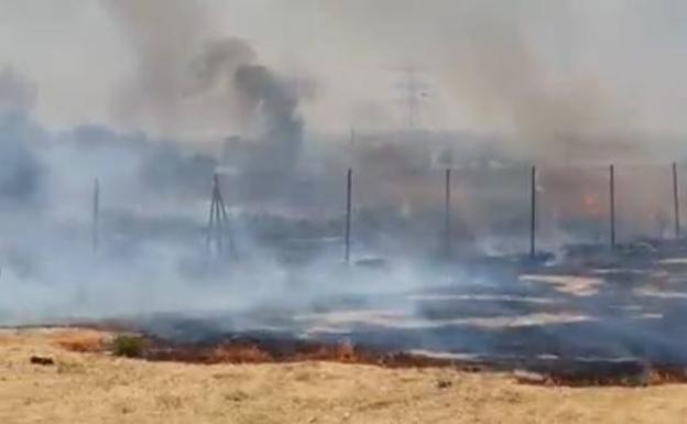 Arde una zona de matorrales en Sangonera la Verde