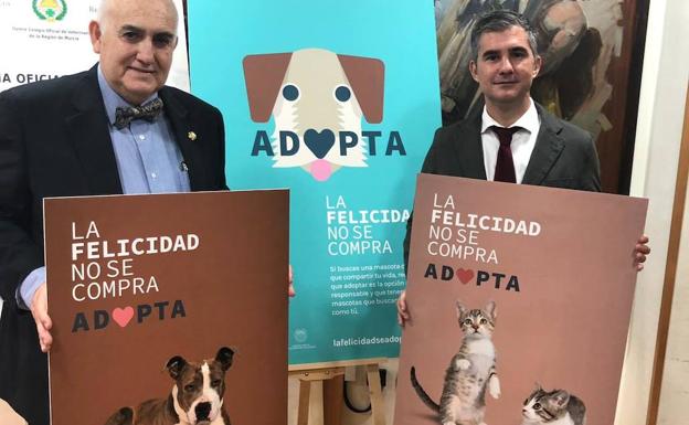 El año pasado se abandonaron más de 3.000 perros y casi 1.000 gatos en la Región