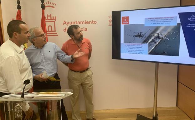 El Ayuntamiento de Murcia intensifica la campaña contra el mosquito tigre