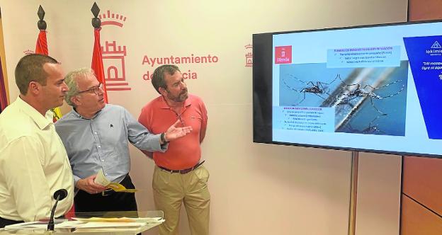 Salud recurre a murciélagos para luchar contra el mosquito tigre