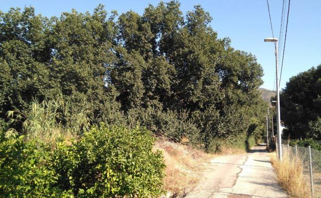 Huermur, en contra de entubar un tramo de regadío del Azarbe de Tierra Roya en Los Garres