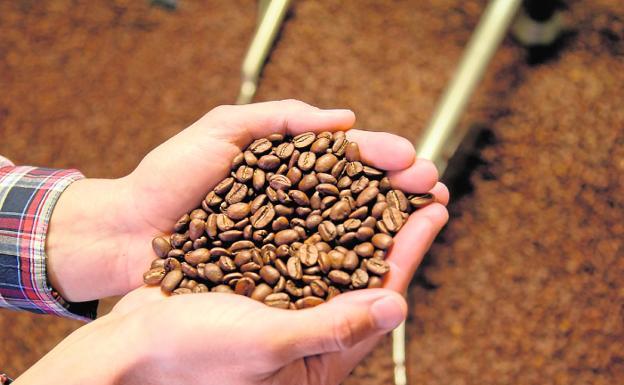 Café Barsel, la tradición y calidad del café en la Región