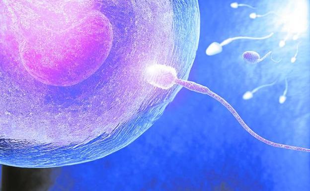 Un novedoso 'point of care' aumentaría la tasa de éxito en los tratamientos de fertilidad