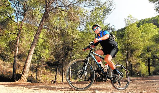 Juan Albaladejo: «El CreaMurcia no tiene parangón en nuestro país»