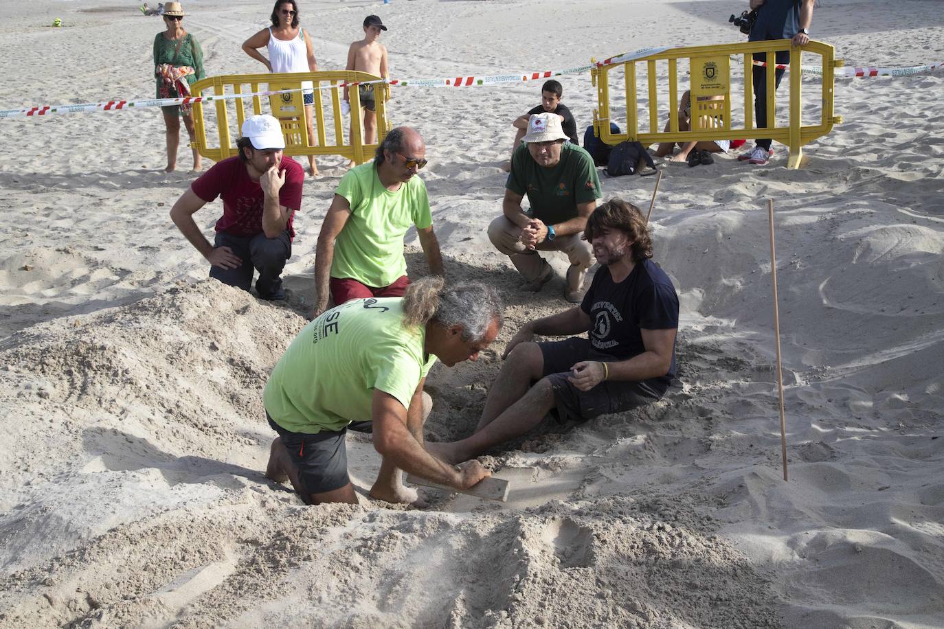 Descartado el posible nido de tortuga boba en La Manga